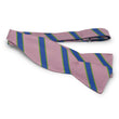 Load image into Gallery viewer, Longview: Bow - Pink