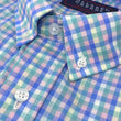Load image into Gallery viewer, Weber: Brookline Button Down Shirt - Blue/Pink/Green