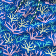 Load image into Gallery viewer, Key Largo Coral: Kid's Swim Trunks - Blue