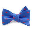 Load image into Gallery viewer, Bordeaux: Bow - Blue