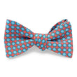 Load image into Gallery viewer, Inner Circle: Bow - Orange