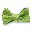Load image into Gallery viewer, Fly Fish: Bow - Green