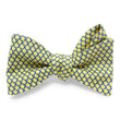 Load image into Gallery viewer, Fencing: Bow - Yellow
