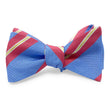 Load image into Gallery viewer, Nottaway: Bow - Blue
