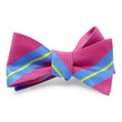 Load image into Gallery viewer, Nottaway: Bow - Pink
