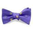 Load image into Gallery viewer, Trunks: Bow - Purple