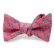 Load image into Gallery viewer, Upstream: Bow - Pink