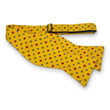 Load image into Gallery viewer, Flower Foulard: Bow - Yellow