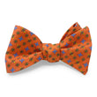Load image into Gallery viewer, Foulard: Bow - Pink