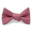 Load image into Gallery viewer, New Pine: Bow - Pink/Blue