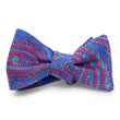 Load image into Gallery viewer, Paisley: Bow - Lavender/Aqua