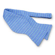 Load image into Gallery viewer, Angel Fish: Bow - Blue