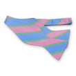 Load image into Gallery viewer, Beaufort: Bow - Blue