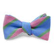 Load image into Gallery viewer, Beaufort: Bow - Blue