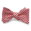 Load image into Gallery viewer, Brighton: Bow - Coral