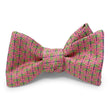 Load image into Gallery viewer, Dragonfly: Bow - Pink