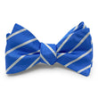 Load image into Gallery viewer, Sloan: Bow - Blue