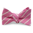 Load image into Gallery viewer, Sloan: Bow - Pink