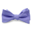 Load image into Gallery viewer, Stuart: Bow - Purple