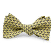 Load image into Gallery viewer, In Flight: Bow - Yellow