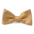 Load image into Gallery viewer, Cary: Bow - Orange