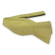 Load image into Gallery viewer, Brackett: Bow - Yellow