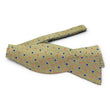 Load image into Gallery viewer, Broughton: Bow - Yellow