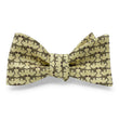 Load image into Gallery viewer, Hunters: Bow - Yellow