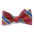 Load image into Gallery viewer, Marshtown: Bow - Pink