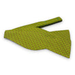 Load image into Gallery viewer, Monkeys: Bow - Green
