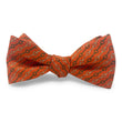 Load image into Gallery viewer, Snafflebit Stripe: Bow - Orange