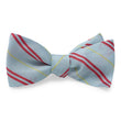 Load image into Gallery viewer, Anguilla: Bow - Light Blue