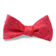Load image into Gallery viewer, Aruba: Bow - Red
