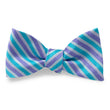 Load image into Gallery viewer, Belize: Bow - Aqua