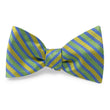 Load image into Gallery viewer, Belize: Bow - Green