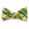 Load image into Gallery viewer, Baja: Bow - Yellow