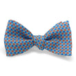 Load image into Gallery viewer, Bloom: Bow - Aqua