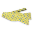 Load image into Gallery viewer, Dolphin: Bow - Yellow