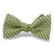 Load image into Gallery viewer, Lemon Aid: Bow - Blue