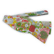 Load image into Gallery viewer, Liberty Caversham: Bow - Coral/Green