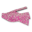 Load image into Gallery viewer, Liberty Marwood: Bow - Pink/White