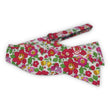 Load image into Gallery viewer, Liberty Welford: Bow - Red