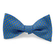 Load image into Gallery viewer, Tortuga: Bow - Blue