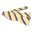 Load image into Gallery viewer, Broadmoor: Bow - Yellow
