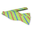 Load image into Gallery viewer, Pelican Hill: Bow - Green