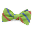Load image into Gallery viewer, Pelican Hill: Bow - Green