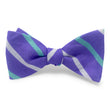 Load image into Gallery viewer, Pelican Hill: Bow - Purple