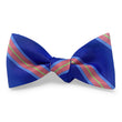 Load image into Gallery viewer, Shenandoah: Bow - Purple