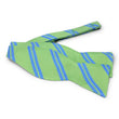 Load image into Gallery viewer, Shinecock Hills: Bow - Green