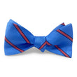Load image into Gallery viewer, Whistler: Bow - Blue